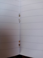 Bugs in notebook?!?