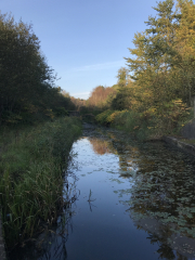 Come and tell me your dull and unexciting news 23: Calmly through the day 