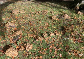 Any Witches Here?- Part 17.