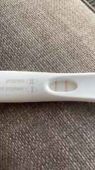 Significance of dye stealer on tests