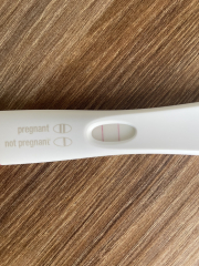 Significance of dye stealer on tests