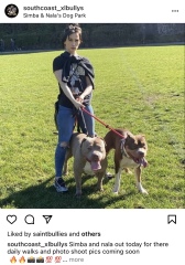 Sick of these XL bully owners 