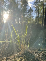 Come chat hiking with me!