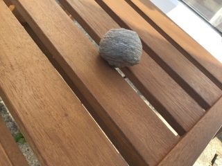 Is something going to hatch from this and kill us in our sleep?