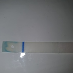 Early bfp or colour run / evap /  3  weeks late