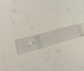Clear blue digital question 
