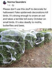 Please look at this before you decorate outside your houses for Halloween... 