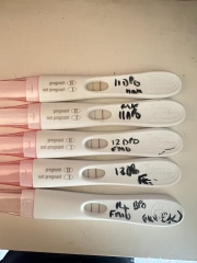 4 weeks pregnant
