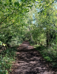 Come chat hiking with me!