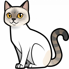 Your cat as an Avatar