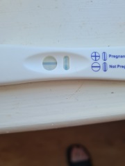 Pregnant after chemical