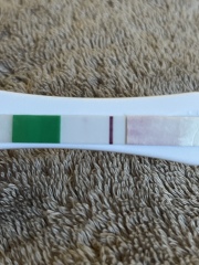 CLEAR BLUE EVAP LINE 9DPO