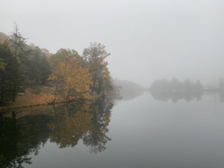 Come and tell me your dull and unexciting news 23: Calmly through the day 