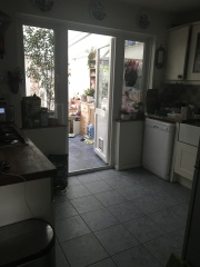 To velux or not to velux? (photo included)