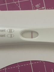 8dpo negative or positive