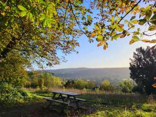 Come chat hiking with me!