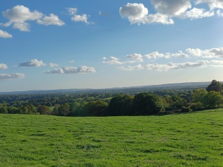 Come chat hiking with me!