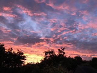 Come and tell me your dull and unexciting news 23: Calmly through the day 