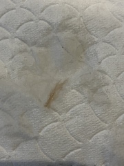 5 weeks and got brown discharge