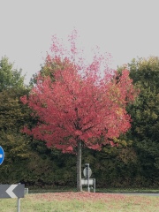 Come and tell me your dull and unexciting news 23: Calmly through the day 