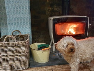Can we please see pictures of your fireplaces and log burners ?