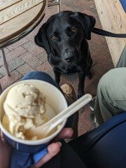 Puppy Survival Thread: Surviving into Summer 2022