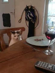 I appear to have cats