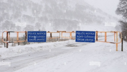 Buying in the highland