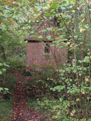 Come chat hiking with me!