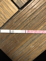 TTC after miscarriage thread 12 🌈✨💛💕