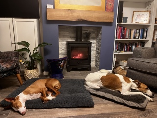 Can we please see pictures of your fireplaces and log burners ?