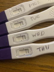 Ovulation 