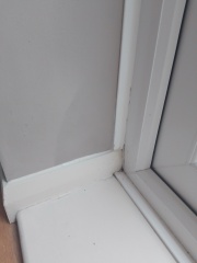 Leaks in a rental