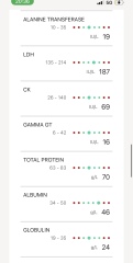 Could someone please help me to understand my blood test results - concerned about cholesterol and thyroid