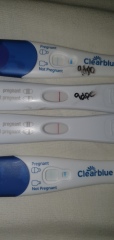 Is this positive or Evap line on my pregnancy test?
