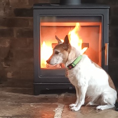 Can we please see pictures of your fireplaces and log burners ?