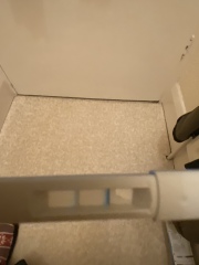 Clear blue fertility monitor pregnancy test sticks!