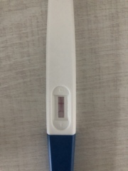 Test results 