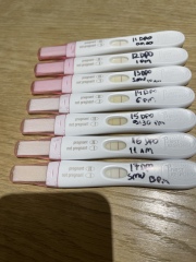 TTC after miscarriage thread 12 🌈✨💛💕