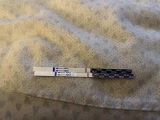 Help reading the lines