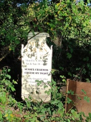 Come chat hiking with me!