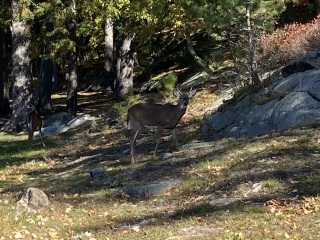 Come and tell me your dull and unexciting news 23: Calmly through the day 