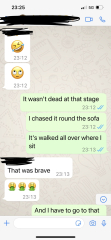 To think my husband is gravely ill at the wrong time?  Thread 2