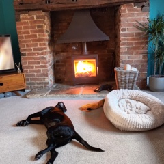 Can we please see pictures of your fireplaces and log burners ?