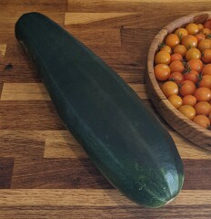 The Vegetable Patch Mark 2