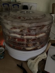 Any Witches Here?- Part 17.