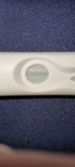 Clear blue tests 