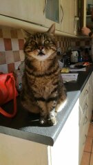 My lovely boy died tonight