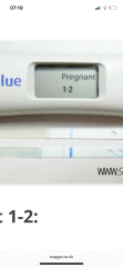 Clear blue digital question 