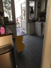 To velux or not to velux? (photo included)